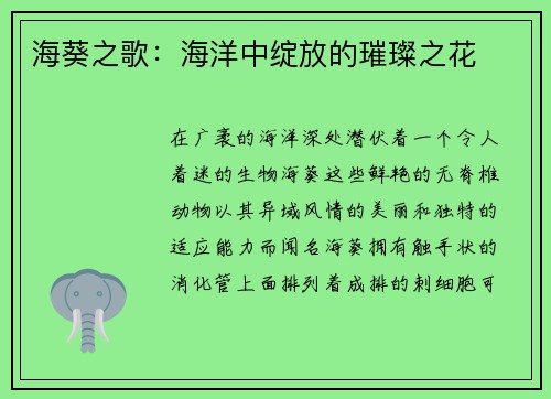 海葵之歌：海洋中绽放的璀璨之花