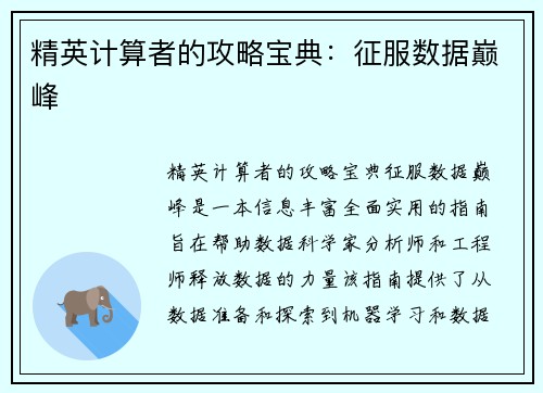 精英计算者的攻略宝典：征服数据巅峰